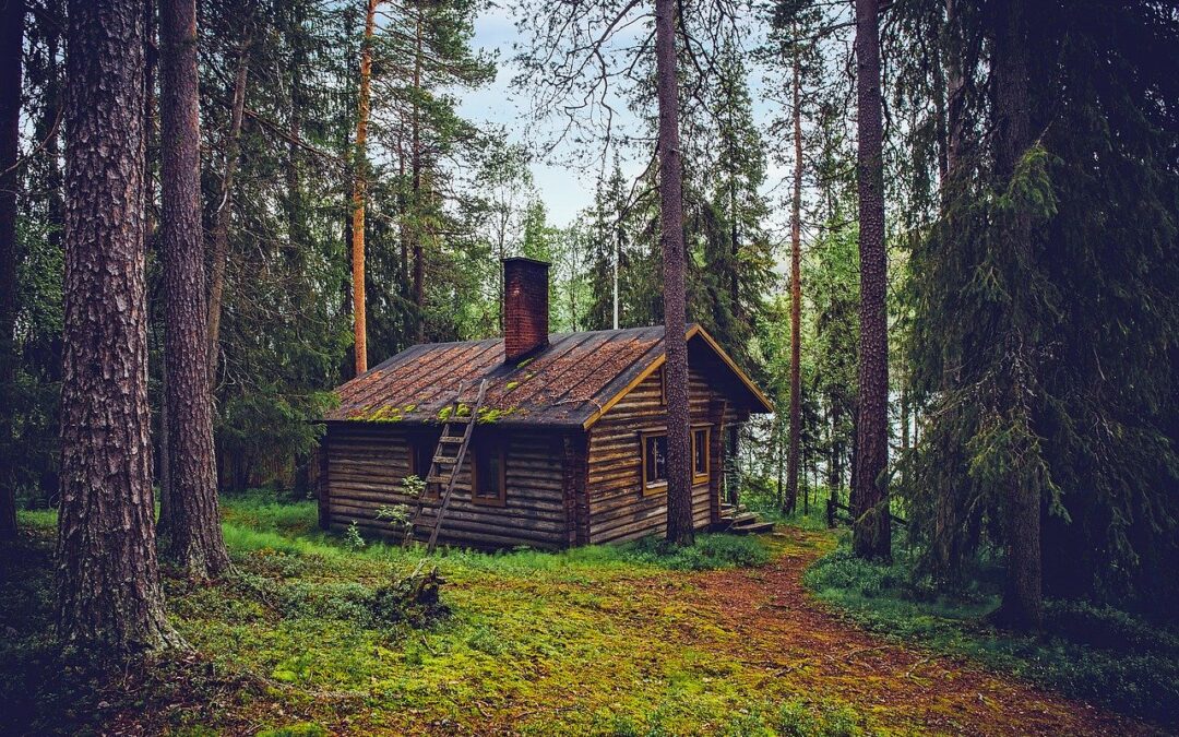 Jacob i Wilhelm Grimm - "Chata w lesie" - czytanki.pl