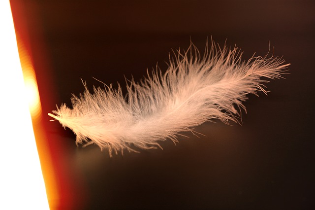 Jacob i Wilhelm Grimm - "Trzy pióra" - czytanki.pl