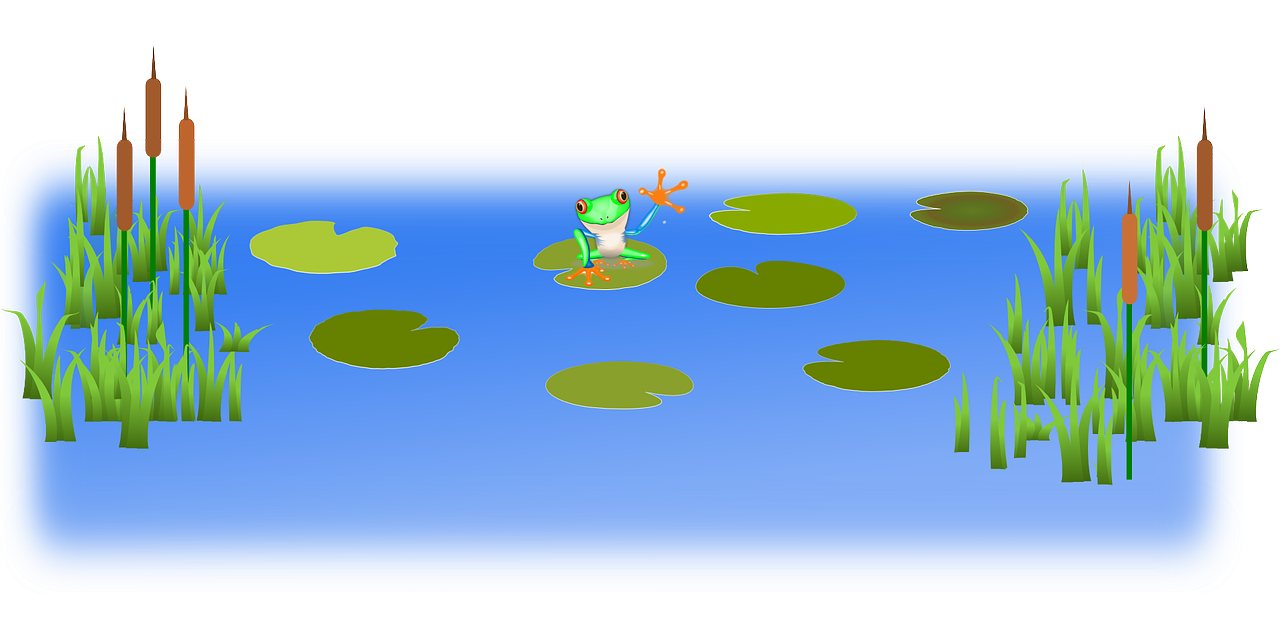 Jan Brzechwa - Żaba - czytanki.pl