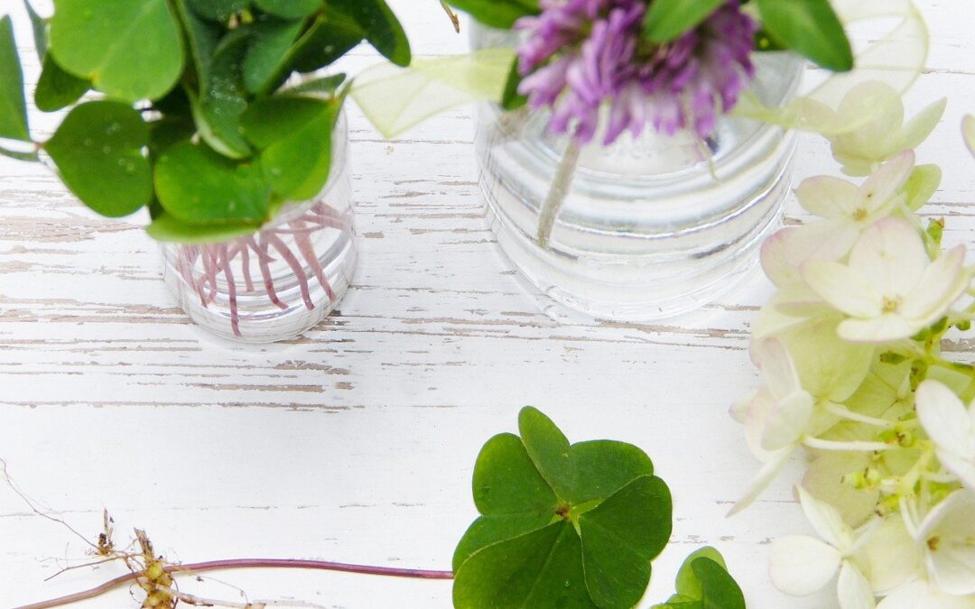 Cytaty o szczęściu cz. 7