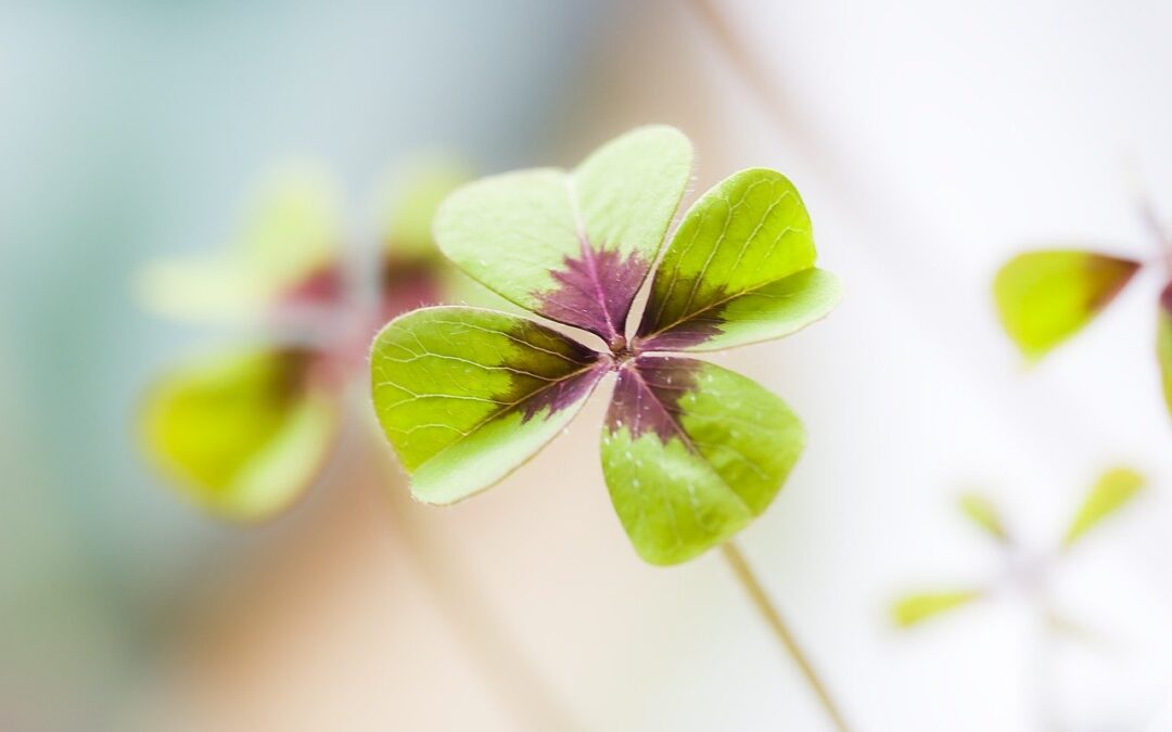 Cytaty o szczęściu cz. 10