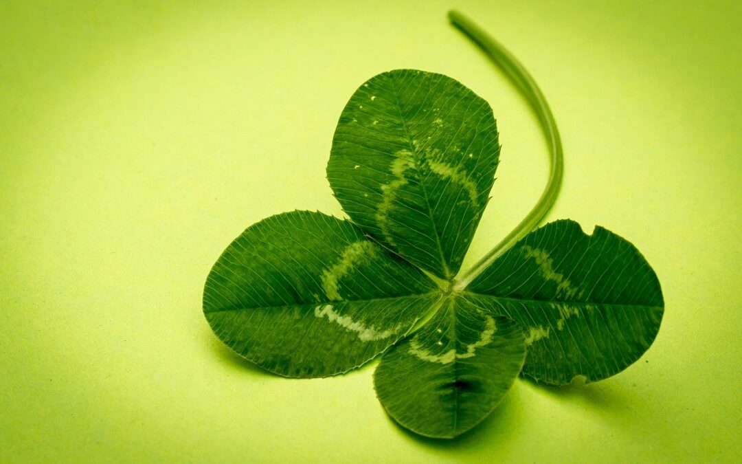 Cytaty o szczęściu cz. 9