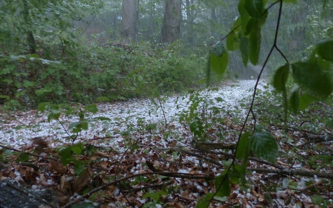 Z chmur rodzi się grad…