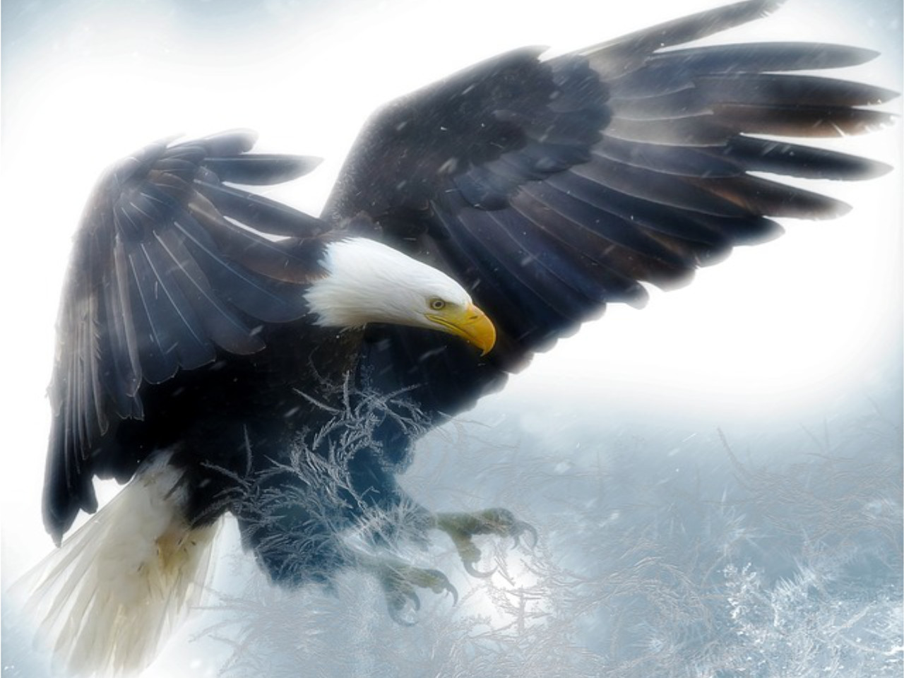 Artur Oppman - "Orlątko" - czytanki.pl