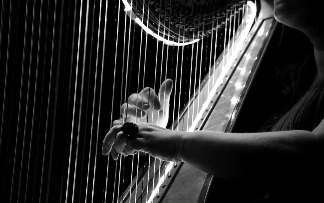 HARFA, CO ONGI W ZAMKU TARY