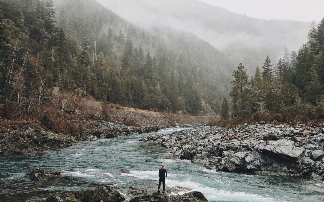 CZŁOWIEK, ZWIERCIADŁA I POTOK