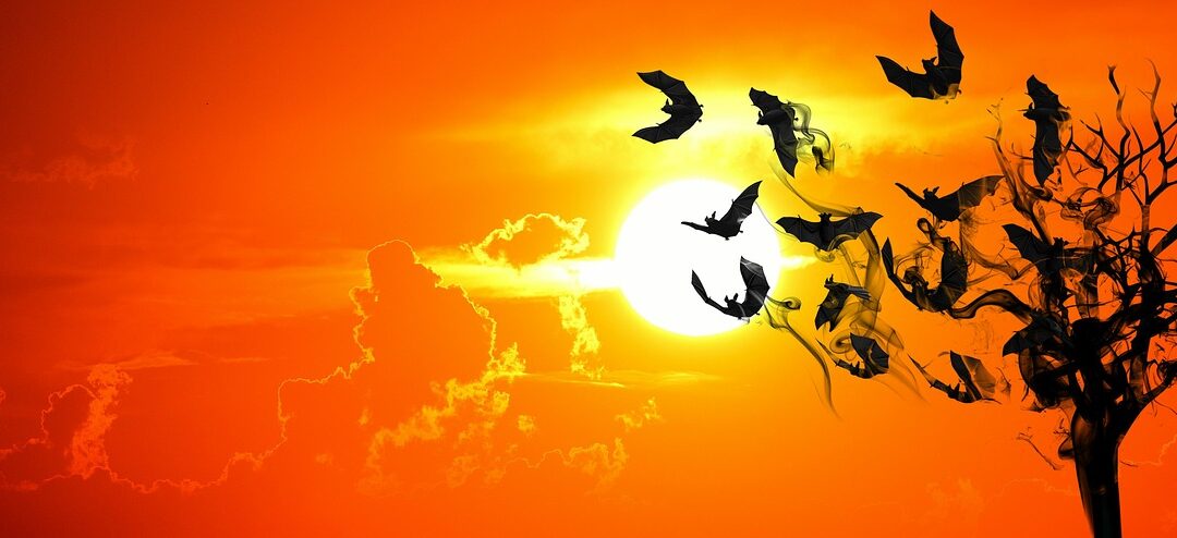 NIETOPERZ I DWIE ŁASICE