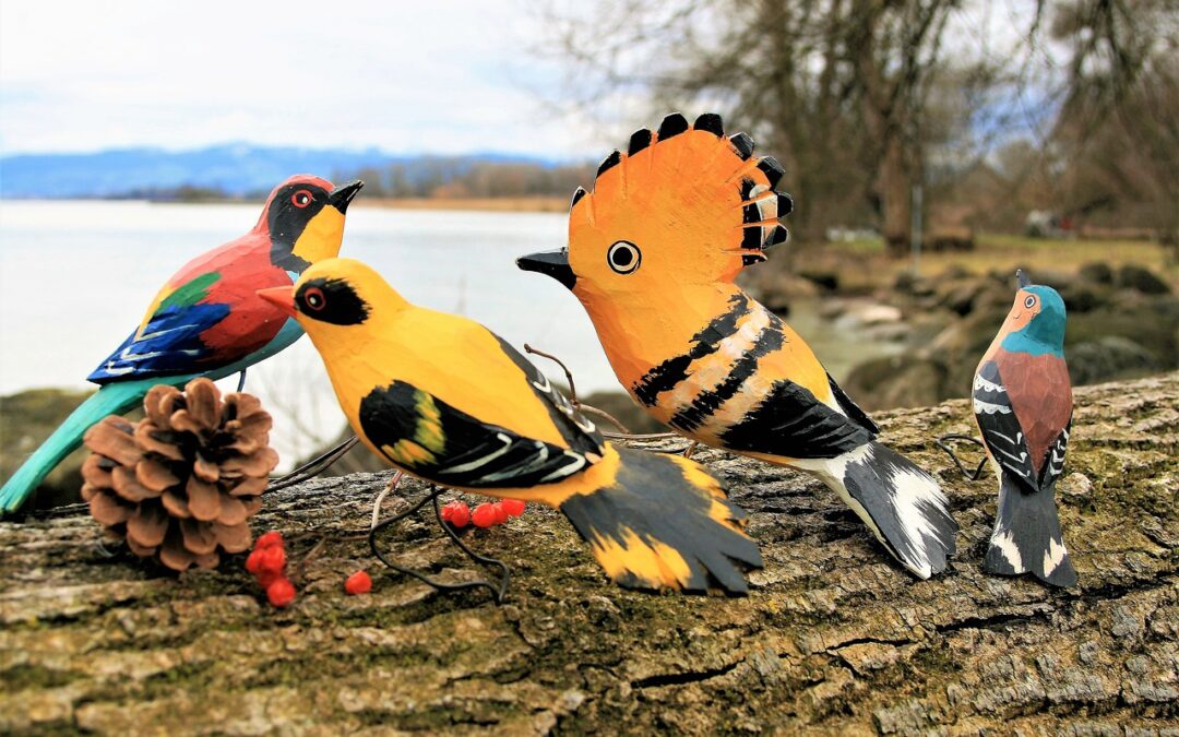 JASKÓŁKA I PTASZKI